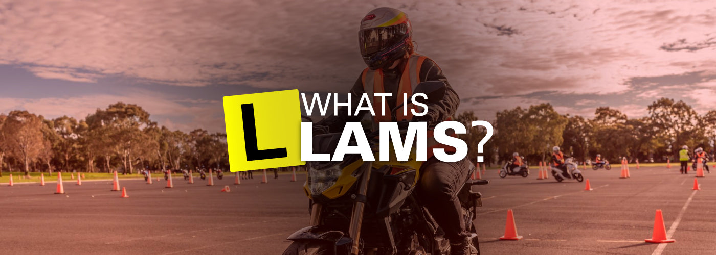 What Is LAMS? And Why Is It Important?