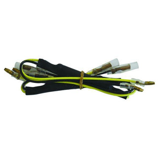 CPR Indicator Resistor Kit - 12V 21W, 15 Ohm - 2 Pack