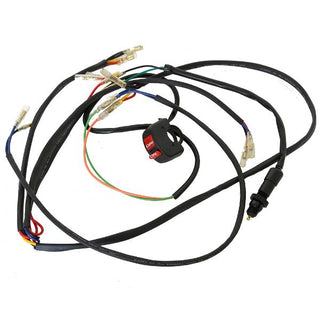 CPR 116-WH Universal Registration Wiring Harness - Enduro