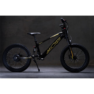 Azonic Flow 20 - 20 - 36V / 7.2AH / 750W Electric Balance Bike