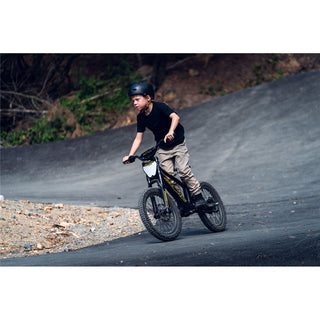 Azonic Flow 20 - 20 - 36V / 7.2AH / 750W Electric Balance Bike