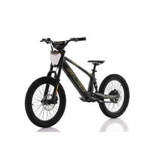 Azonic Flow 20 - 20 - 36V / 7.2AH / 750W Electric Balance Bike