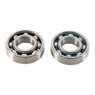Main Bearing and Seal Kit