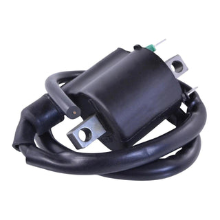 External Ignition Coil Assorted Polaris Models RFR Fitments