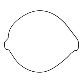 Outer Clutch Gasket Kit 819267