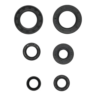 Oil Seal Kit 822391