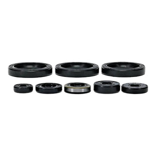 Oil Seal Kit 822403