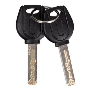 WMP Disc Lock Alarm Type 10mm Pin With Reminder