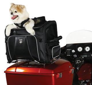 Nelson-Rigg Pet Carrier Rover
