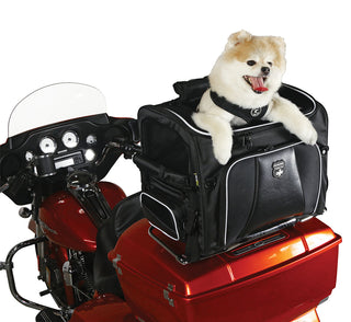 Nelson-Rigg Pet Carrier Rover