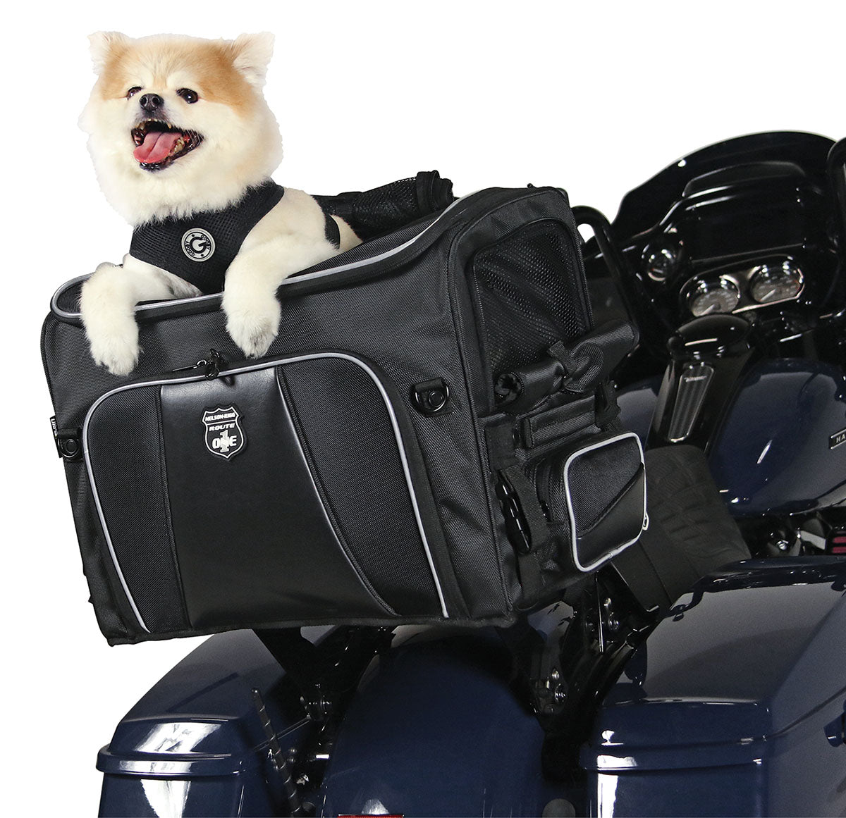 Nelson-Rigg Pet Carrier Rover