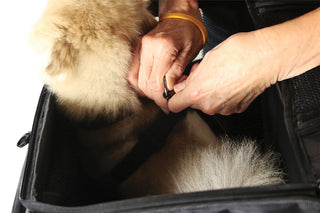 Nelson-Rigg Pet Carrier Rover