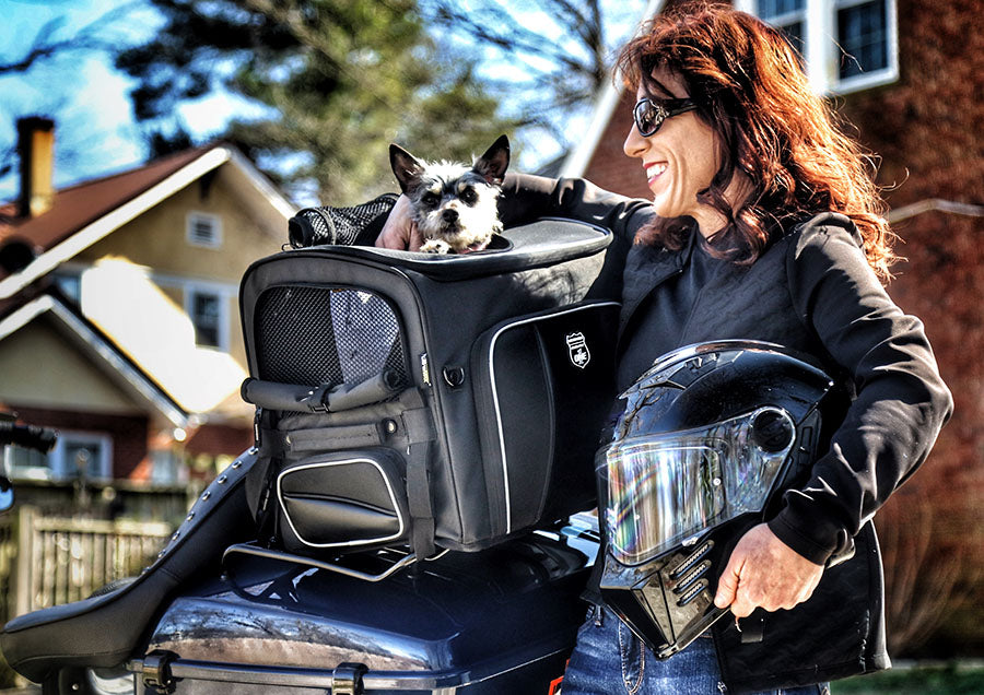 Nelson-Rigg Pet Carrier Rover
