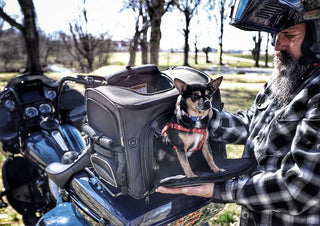 Nelson-Rigg Pet Carrier Rover
