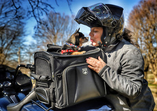 Nelson-Rigg Pet Carrier Rover
