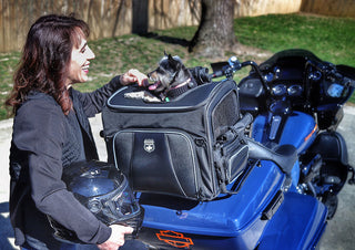 Nelson-Rigg Pet Carrier Rover