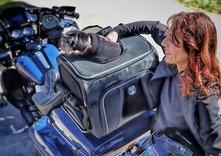 Nelson-Rigg Pet Carrier Rover