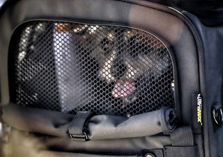 Nelson-Rigg Pet Carrier Rover