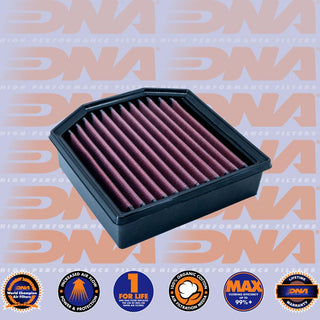 DNA TRIUMPH TIGER 900 2020 Performance OEM Air Filter