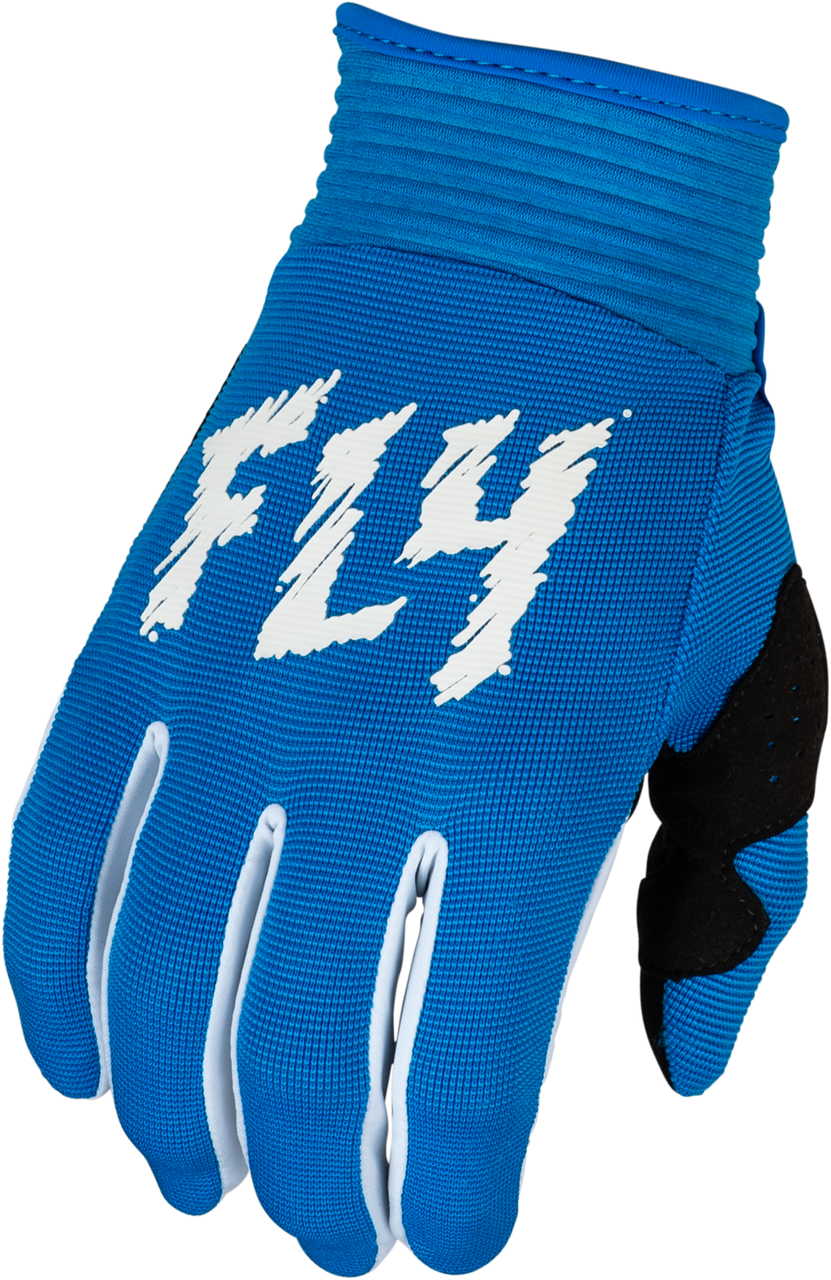 Fly Racing 2024 F-16 Youth Gloves - Blue White
